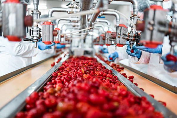 Agro-&-Fruit-Processing